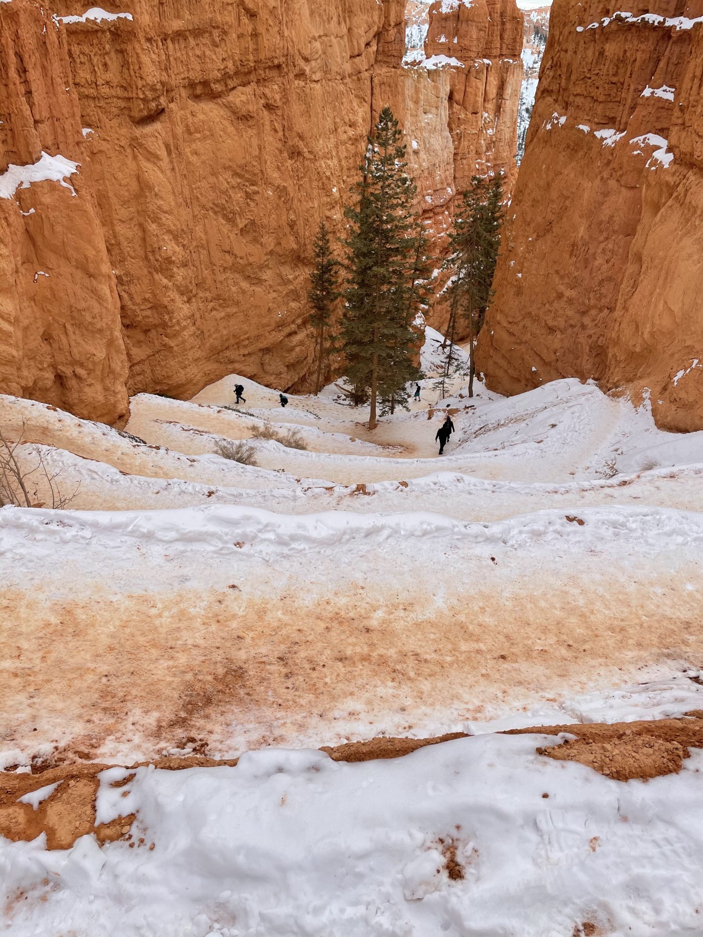 Navajo Loop